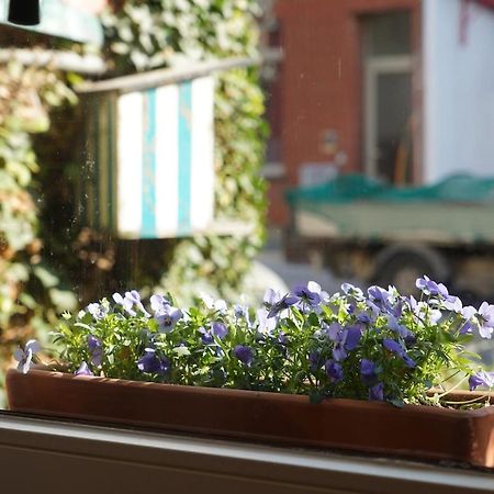 Renovated Appt In Ostende 20Min From Bruges Zewnętrze zdjęcie